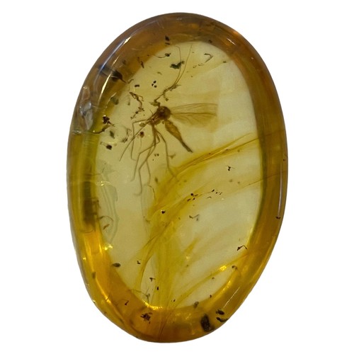 270 - A MOSQUITO FOSSIL IN DINOSAUR AGED AMBER

A mosquito in dinosaur-aged Burmese amber. From the mines ... 