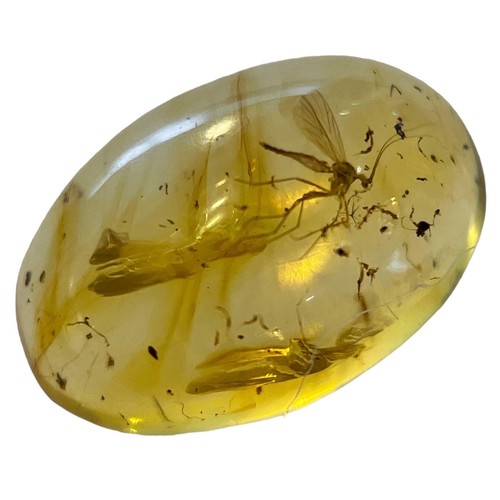 270 - A MOSQUITO FOSSIL IN DINOSAUR AGED AMBER

A mosquito in dinosaur-aged Burmese amber. From the mines ... 