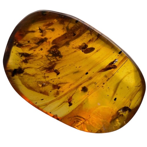 271 - MULTIPLE FOSSIL INSECTS IN DINOSAUR AGED AMBER

This piece of dinosaur-aged Burmese amber contains m... 