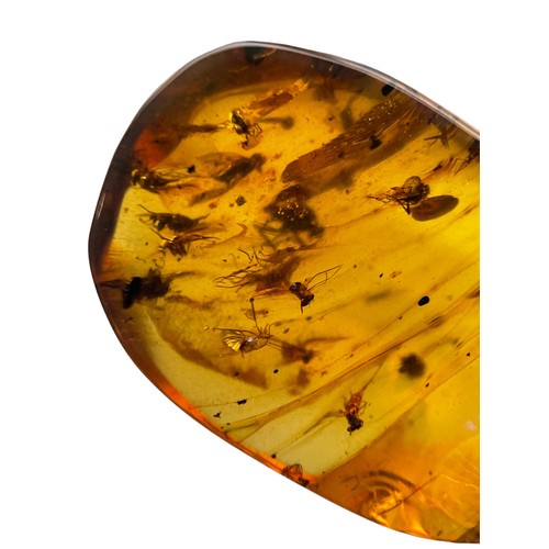 271 - MULTIPLE FOSSIL INSECTS IN DINOSAUR AGED AMBER

This piece of dinosaur-aged Burmese amber contains m... 