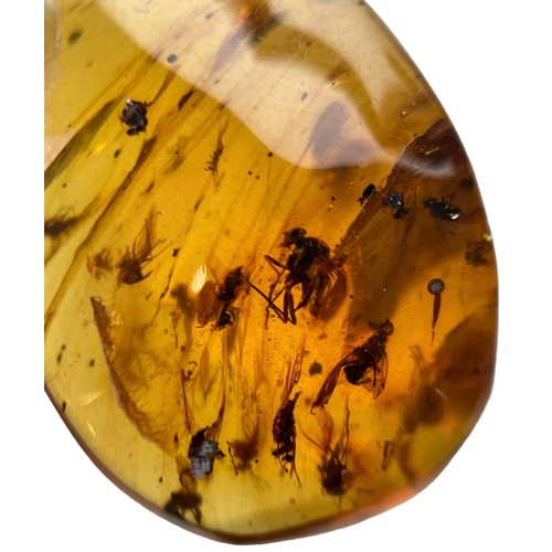 271 - MULTIPLE FOSSIL INSECTS IN DINOSAUR AGED AMBER

This piece of dinosaur-aged Burmese amber contains m... 