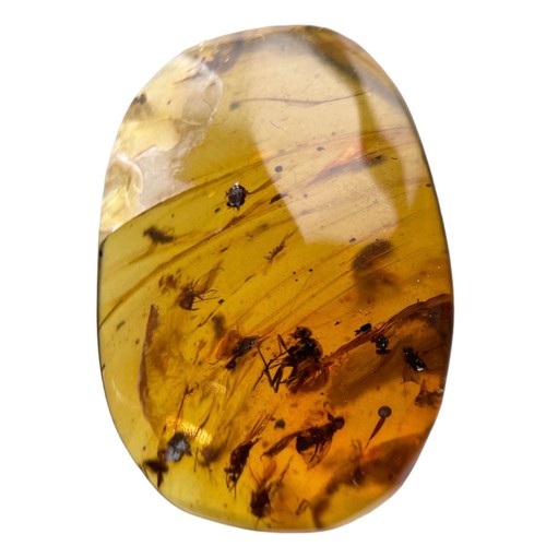 271 - MULTIPLE FOSSIL INSECTS IN DINOSAUR AGED AMBER

This piece of dinosaur-aged Burmese amber contains m... 