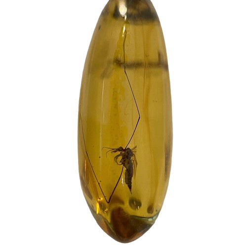 273 - SPIDER AND FLYING INSECTS IN DINOSAUR AGED FOSSIL AMBER,

A very detailed spider alongside two large... 