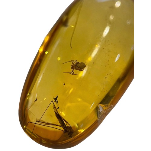 273 - SPIDER AND FLYING INSECTS IN DINOSAUR AGED FOSSIL AMBER,

A very detailed spider alongside two large... 