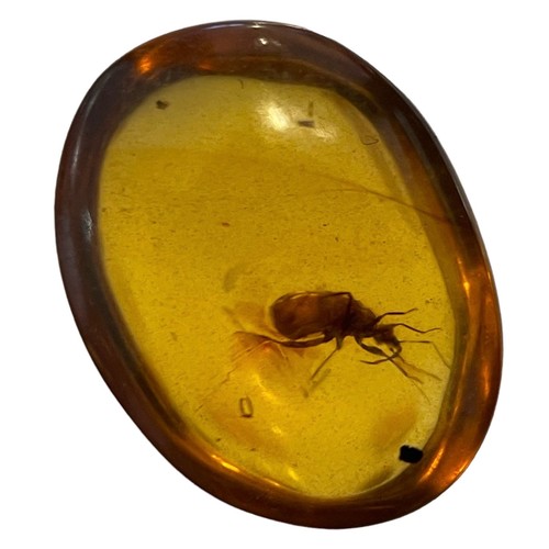 274 - A BEETLE FOSSIL IN DINOSAUR AGED AMBER

From the Amber mines of Kachin, Myanmar. Cretaceous circa 10... 