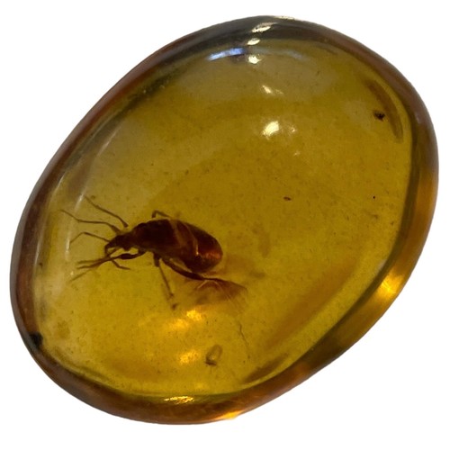 274 - A BEETLE FOSSIL IN DINOSAUR AGED AMBER

From the Amber mines of Kachin, Myanmar. Cretaceous circa 10... 