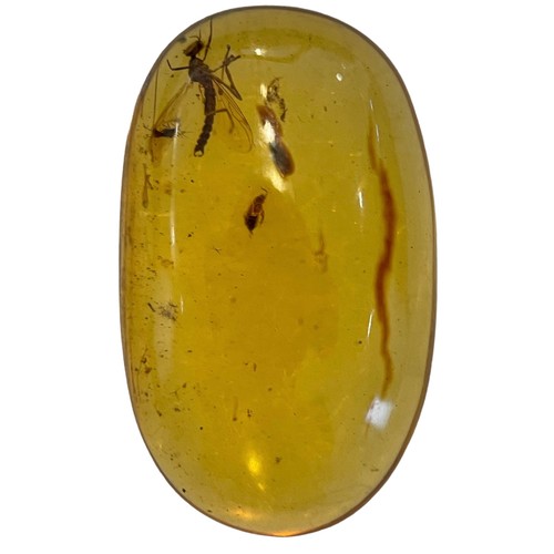 275 - A WINGED INSECT FOSSIL IN DINOSAUR AGED AMBER 

From the Amber mines of Kachin, Myanmar. Cretaceous ... 