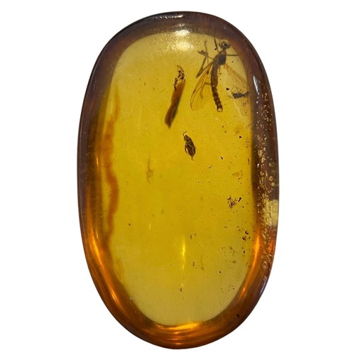 275 - A WINGED INSECT FOSSIL IN DINOSAUR AGED AMBER 

From the Amber mines of Kachin, Myanmar. Cretaceous ... 