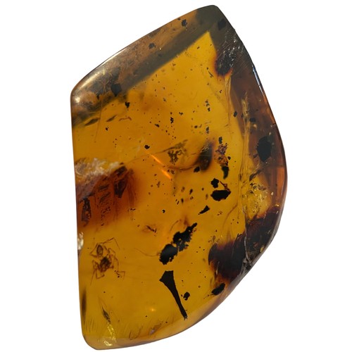 276 - A SPIDER FOSSIL IN AMBER

A large amber gem containing a very detailed spider. From the amber mines ... 