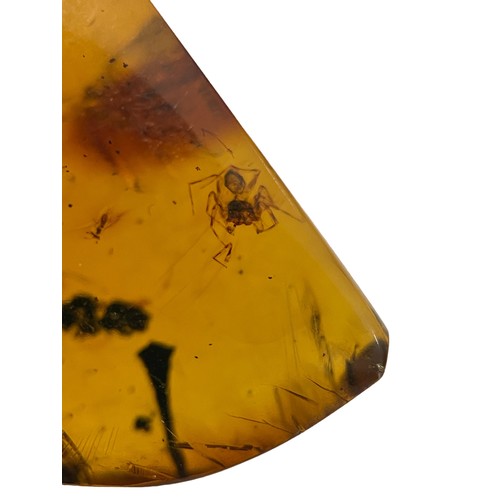 276 - A SPIDER FOSSIL IN AMBER

A large amber gem containing a very detailed spider. From the amber mines ... 