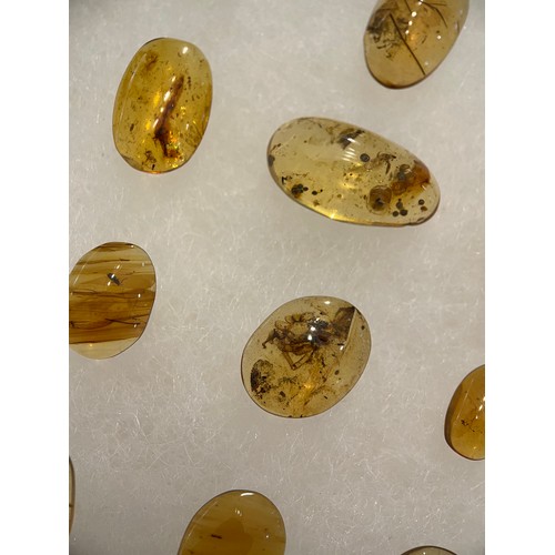 267 - A LARGE COLLECTION OF AMBER WITH INSECT FOSSILS

An exceptional grouping of insects in amber from th... 