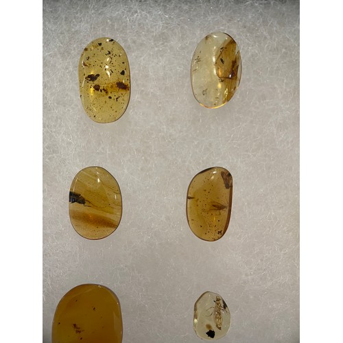 267 - A LARGE COLLECTION OF AMBER WITH INSECT FOSSILS

An exceptional grouping of insects in amber from th... 