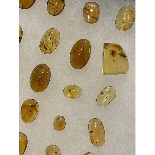 267 - A LARGE COLLECTION OF AMBER WITH INSECT FOSSILS

An exceptional grouping of insects in amber from th... 