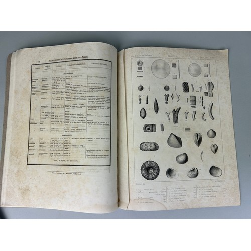 282 - M.A LEYMERIE: MEMOIRRE SUR IN NOUVEAU TYPE PYRENEE, 1849, 

Table and three plates.