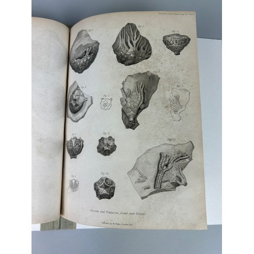 286 - GEORGE CUMBERLAND: DESCRIPTIONS OF SOME NEW FOSSIL ENCRINI AND PENTACRINI LATELY DISCOVERED IN THE N... 