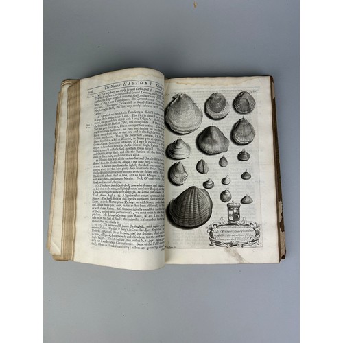 291 - JOHN MORTON: THE NATURAL HISTORY OF NORTHAMPTONSHIRE, 1712, 

Engraved plates depicting fossils. Ori... 