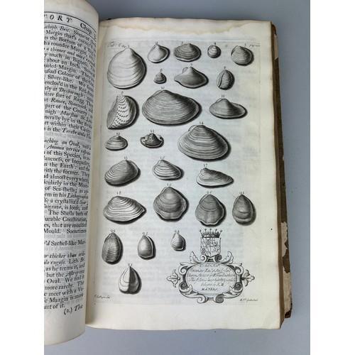 291 - JOHN MORTON: THE NATURAL HISTORY OF NORTHAMPTONSHIRE, 1712, 

Engraved plates depicting fossils. Ori... 