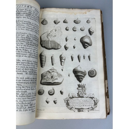 291 - JOHN MORTON: THE NATURAL HISTORY OF NORTHAMPTONSHIRE, 1712, 

Engraved plates depicting fossils. Ori... 