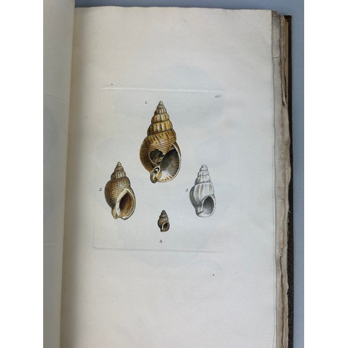 278 - JAMES SOWERBY (1757-1822) MINERAL CONCHOLOGY 1817-18, 

23 hand coloured plates as issued in four or... 