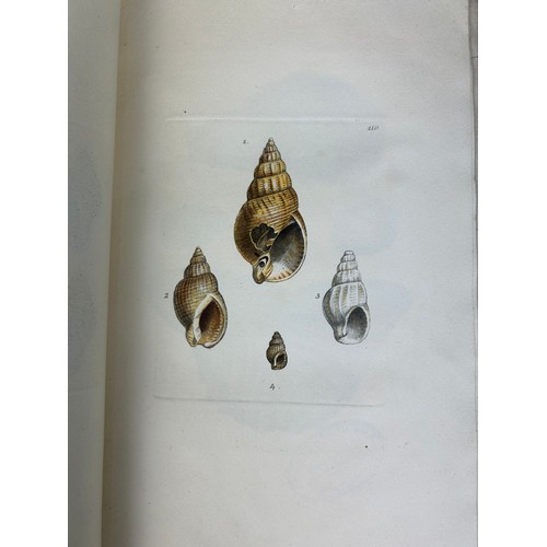 278 - JAMES SOWERBY (1757-1822) MINERAL CONCHOLOGY 1817-18, 

23 hand coloured plates as issued in four or... 