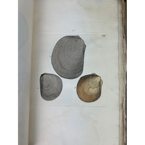 278 - JAMES SOWERBY (1757-1822) MINERAL CONCHOLOGY 1817-18, 

23 hand coloured plates as issued in four or... 