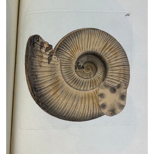 278 - JAMES SOWERBY (1757-1822) MINERAL CONCHOLOGY 1817-18, 

23 hand coloured plates as issued in four or... 