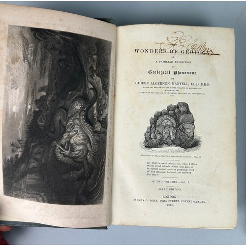 279 - GIDEON MANTELL (1790-1852) WONDERS OF GEOLOGY SIXTH EDITION IN TWO VOLUMES, 

Cloth bound.