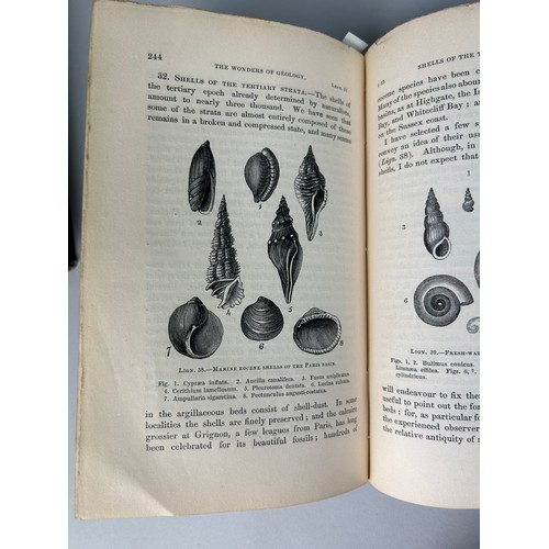 279 - GIDEON MANTELL (1790-1852) WONDERS OF GEOLOGY SIXTH EDITION IN TWO VOLUMES, 

Cloth bound.