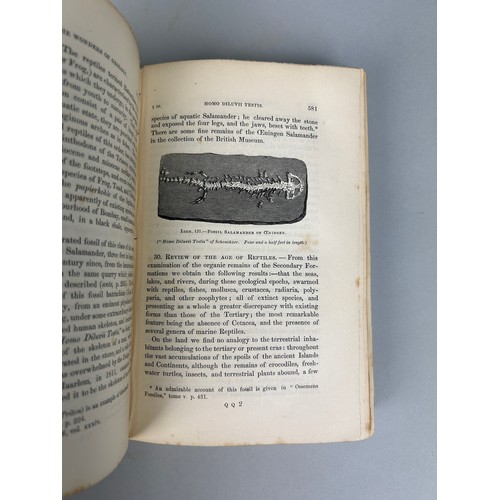 279 - GIDEON MANTELL (1790-1852) WONDERS OF GEOLOGY SIXTH EDITION IN TWO VOLUMES, 

Cloth bound.