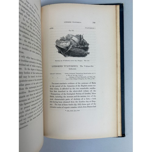 296 - RICHARD OWEN (1804-1892) HISTORY OF BRITISH FOSSIL MAMMALS AND BIRDS,