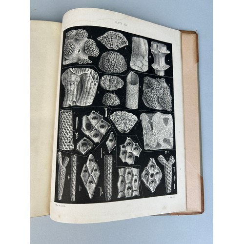 280 - GEORGE BUSK (1807-1886) FOSSIL POLYZOA OF THE CRAG, 1859

Half calf, 22 black and white plates. 

Me... 