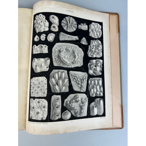 280 - GEORGE BUSK (1807-1886) FOSSIL POLYZOA OF THE CRAG, 1859

Half calf, 22 black and white plates. 

Me... 