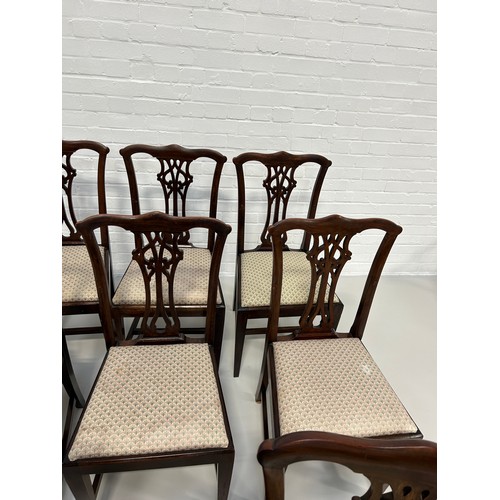 498 - A SET OF EIGHT 20TH CENTURY CHIPPENDALE DESIGN DINING CHAIRS WITH UPHOLSTERED SEATS, 

95cm x 46cm x... 