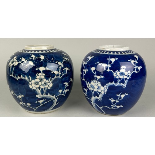 167 - TWO 19TH CENTURY CHINESE PRUNUS GINGER JARS, 

17.5cm H