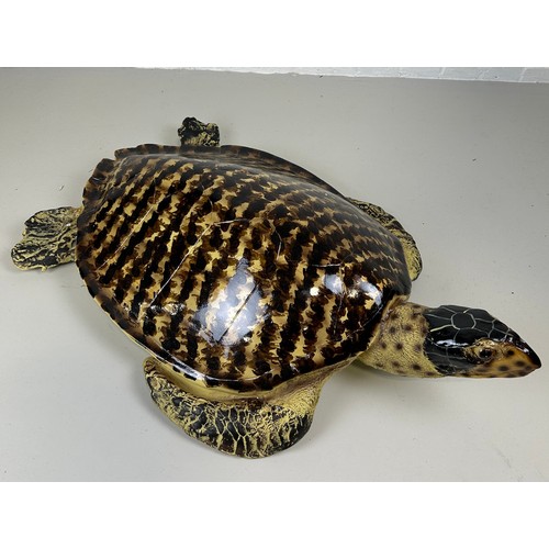 521 - A PAINTED SCULPTURAL MODEL OF A SEA TURTLE, 

90cm x 55cm