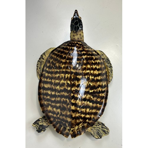 521 - A PAINTED SCULPTURAL MODEL OF A SEA TURTLE, 

90cm x 55cm