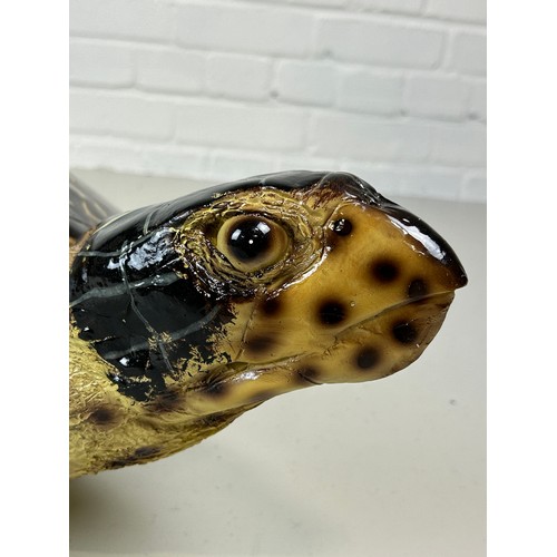 521 - A PAINTED SCULPTURAL MODEL OF A SEA TURTLE, 

90cm x 55cm