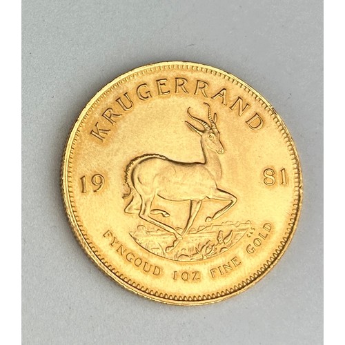 315 - A SOUTH AFRICAN FULL GOLD KRUGGERAND 1981,

Bust of Paul Kruger, and Springbok walking dividing the ... 