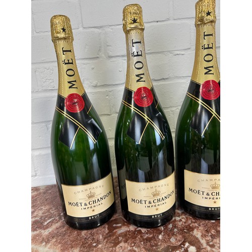 500 - A GROUP OF TEN DISPLAY DUMMY MOET AND CHANDON BOTTLES (SEALED AND EMPTY), 

40cm H each.