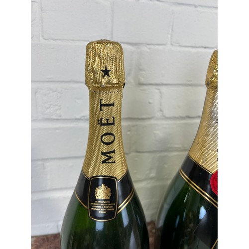 500 - A GROUP OF TEN DISPLAY DUMMY MOET AND CHANDON BOTTLES (SEALED AND EMPTY), 

40cm H each.