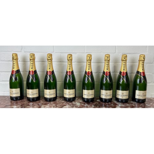 501 - A GROUP OF EIGHT DISPLAY DUMMY MOET AND CHANDON BOTTLES (SEALED AND EMPTY),

31cm H each.