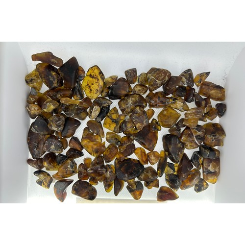 401 - A LARGE AND RARE COLLECTION OF BURMESE AMBER WITH VARIOUS INSECT AND PLANT MATTER INCLUSIONS, 

Poss... 