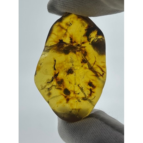 401 - A LARGE AND RARE COLLECTION OF BURMESE AMBER WITH VARIOUS INSECT AND PLANT MATTER INCLUSIONS, 

Poss... 