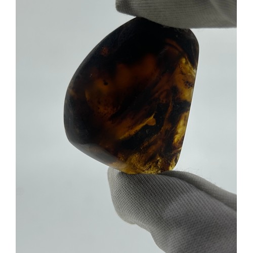 401 - A LARGE AND RARE COLLECTION OF BURMESE AMBER WITH VARIOUS INSECT AND PLANT MATTER INCLUSIONS, 

Poss... 