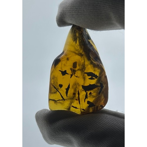 401 - A LARGE AND RARE COLLECTION OF BURMESE AMBER WITH VARIOUS INSECT AND PLANT MATTER INCLUSIONS, 

Poss... 