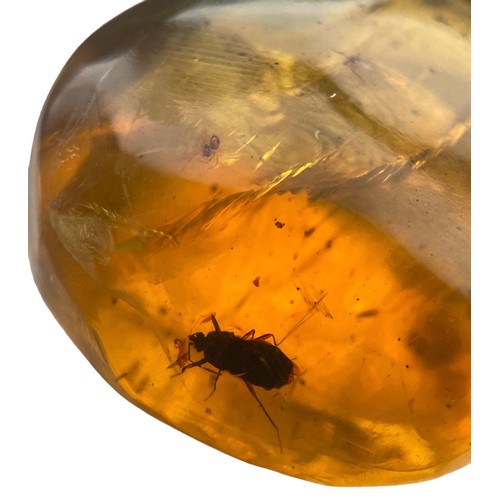 383 - A BEETLE AND SPIDER FOSSIL IN DINOSAUR AGED AMBER

A sizeable amber gem, containing a detailed beetl... 