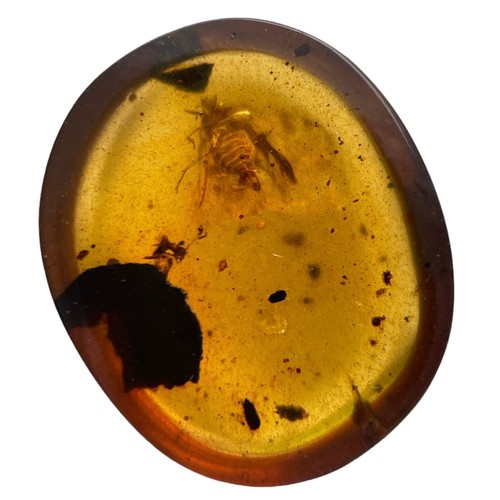 384 - A WINGED INSECT FOSSIL IN DINOSAUR AGED AMBER

A clear amber gem containing a very detailed moth, wi... 