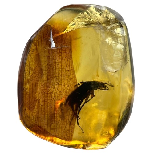 385 - A BEETLE FOSSIL IN DINOSAUR AGED AMBER,

A clear amber gem, containing a detailed beetle. From the a... 