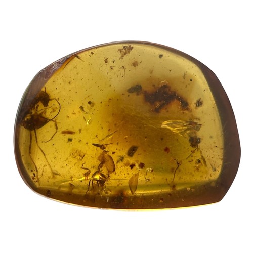 386 - A FOSSIL ANT IN DINOSAUR AGED AMBER,

A large ant, alongside the head and parts of multiple other in... 