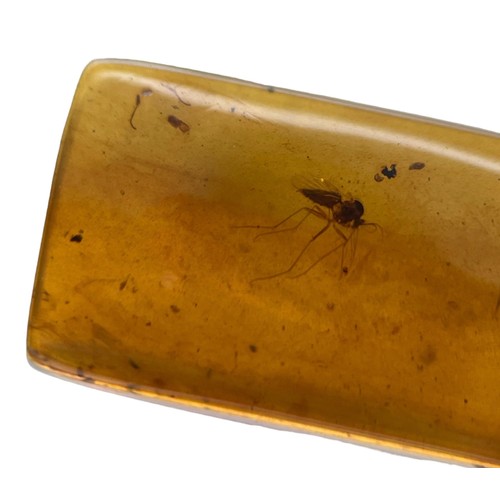 388 - A MOSQUITO AND BEETLE FOSSIL IN DINOSAUR AGED AMBER

A detailed mosquito, facing a beetle. From the ... 